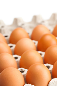 包裹中的鸡蛋被隔离在白色上
