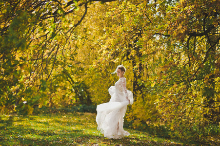 穿着白色礼服的新娘的肖像在草地上盘旋 autu