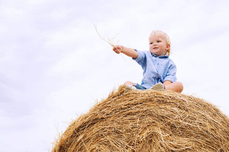 可爱的蹒跚学步的男孩坐在麦田干草。在大自然的夏日, 户外快乐的孩子。家庭, 童年背景