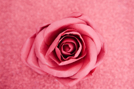 模糊背景下粉红色玫瑰的顶部视图