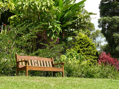 阳光明媚的休闲花园座椅图片