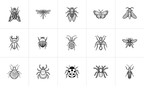 昆虫素描图标集