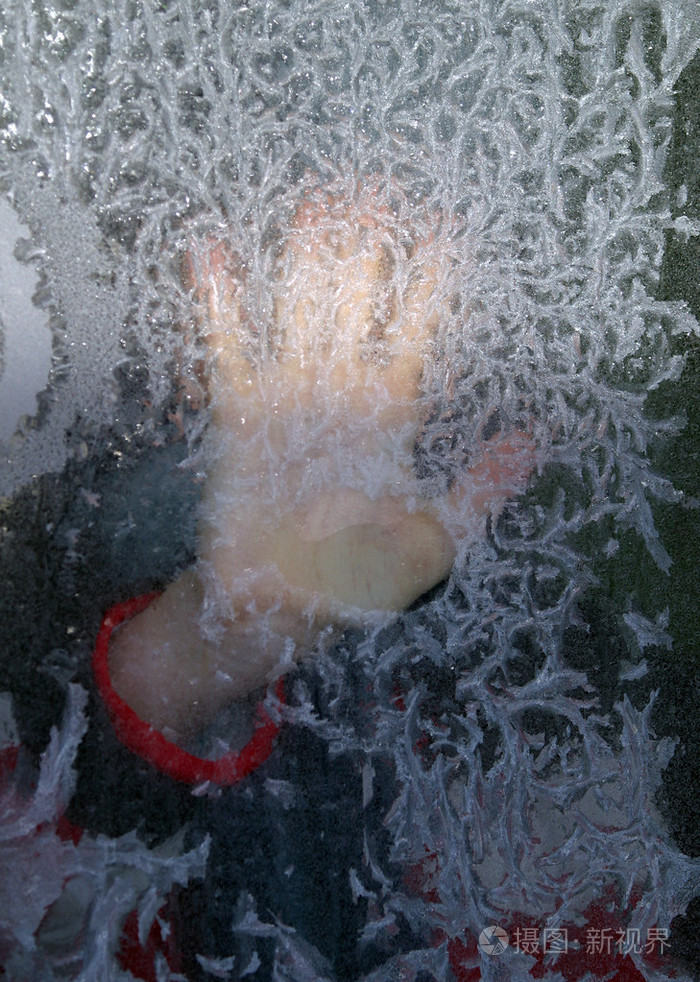 冷冻的冰封的冻硬的呆若木鸡的