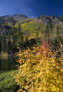 秋天的颜色黄山湖华盛顿