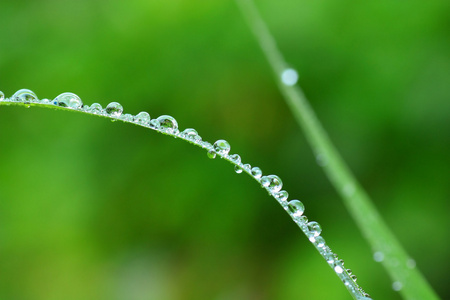 背景上有城市的汽车挡风玻璃上落下的树叶和雨滴水滴在叶子上在花园里