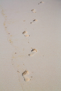 沙滩上的孤独脚印