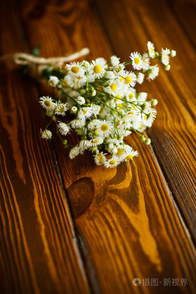 字段chamomiles的花束