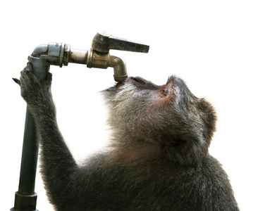 干渴(口)渴 渴感 长期的干渴照片