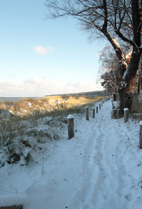 Verschneiter Weg hinter den Dnen am Strand von Lubmin bei Greif