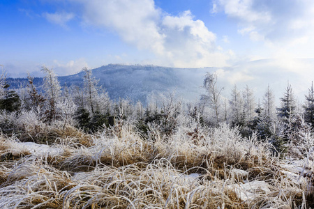 波兰 Beskid 山脉的冬季风光