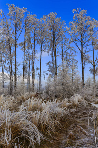 波兰 Beskid 山脉的冬季风光