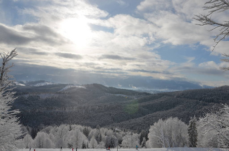 冬天风景, 天空的背景和山范围覆盖与云杉的森林