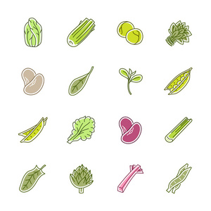蔬菜图标生菜 菠菜 豌豆和豆子