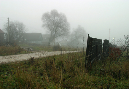 村庄里的雾