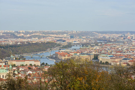 布拉格全景。伏尔塔瓦河河