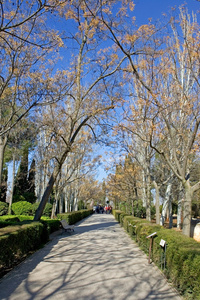 格拉纳达阿尔罕布拉宫花园