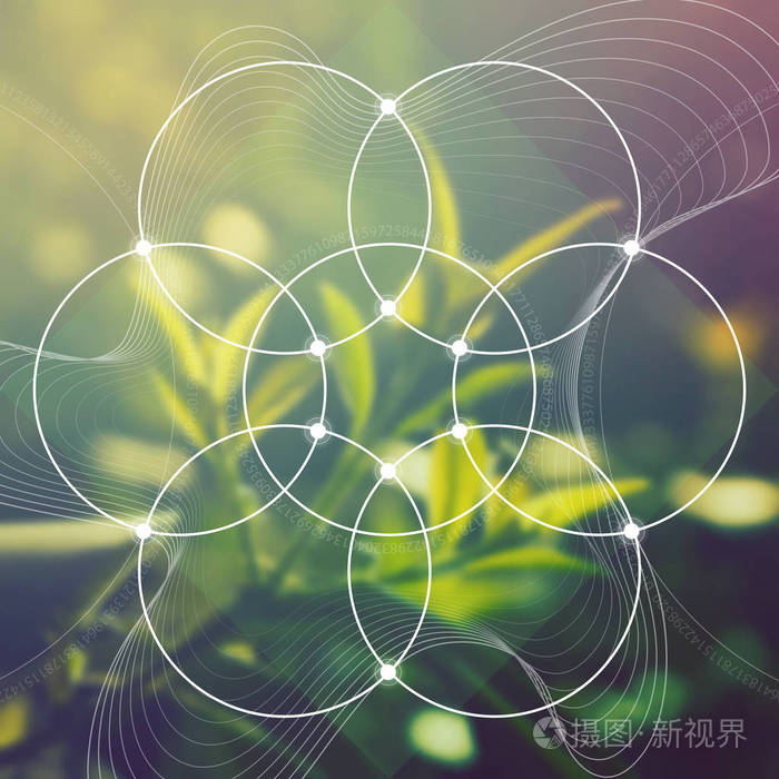 生命之花--在模糊的逼真自然背景面前的环环相扣的古老符号.