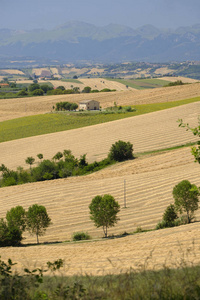 夏日风景在 Appignano 附近 意大利