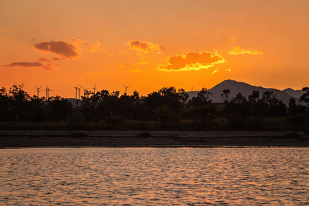 火烈鸟涉水在帕福斯塞浦路斯的咸水湖夕阳