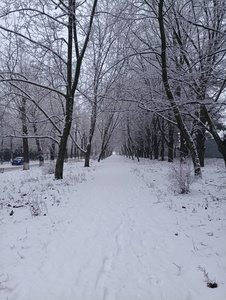 冰雪覆盖的冬季景观