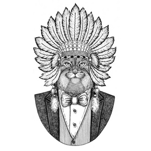 野猫手动野动物戴 inidan 帽, 头裙用羽毛手绘图案作纹身tshirt徽徽章徽标补丁