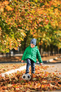 男孩在街上秋天中扮演