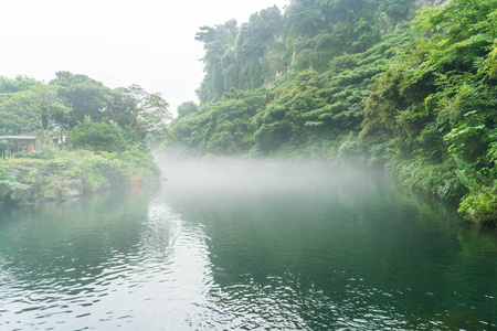 在济州岛天地渊瀑布公园花园