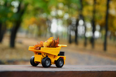 秋季落叶季节收获的概念以一辆玩具黄色卡车的形式描绘, 在秋季公园的背景下装满树叶。