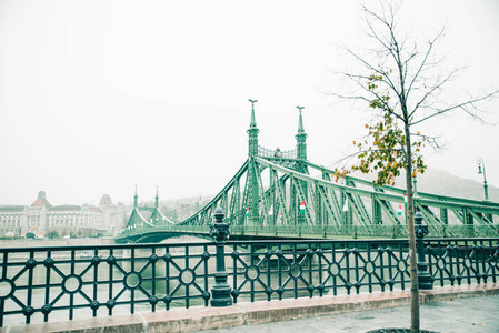 早晨在古老欧洲城市桥梁在雾图片