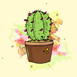 仙人掌的锅图片