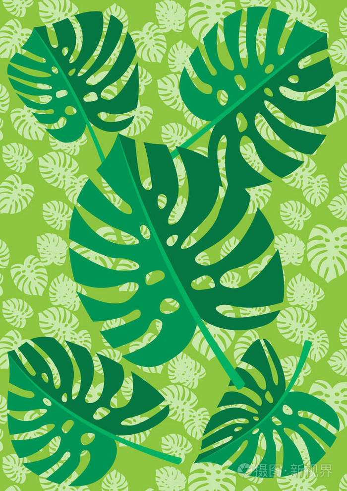插画 热带叶竹植物在绿色花卉纹理背景上分离.矢量插图.eps