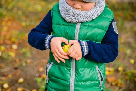 在秋季的一天，小男孩玩栗子