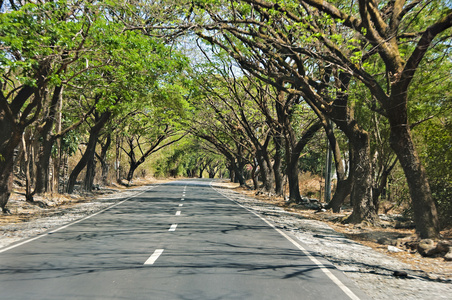 农村公路