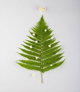 由蕨类树叶和树枝组成的圣诞树。假日概念