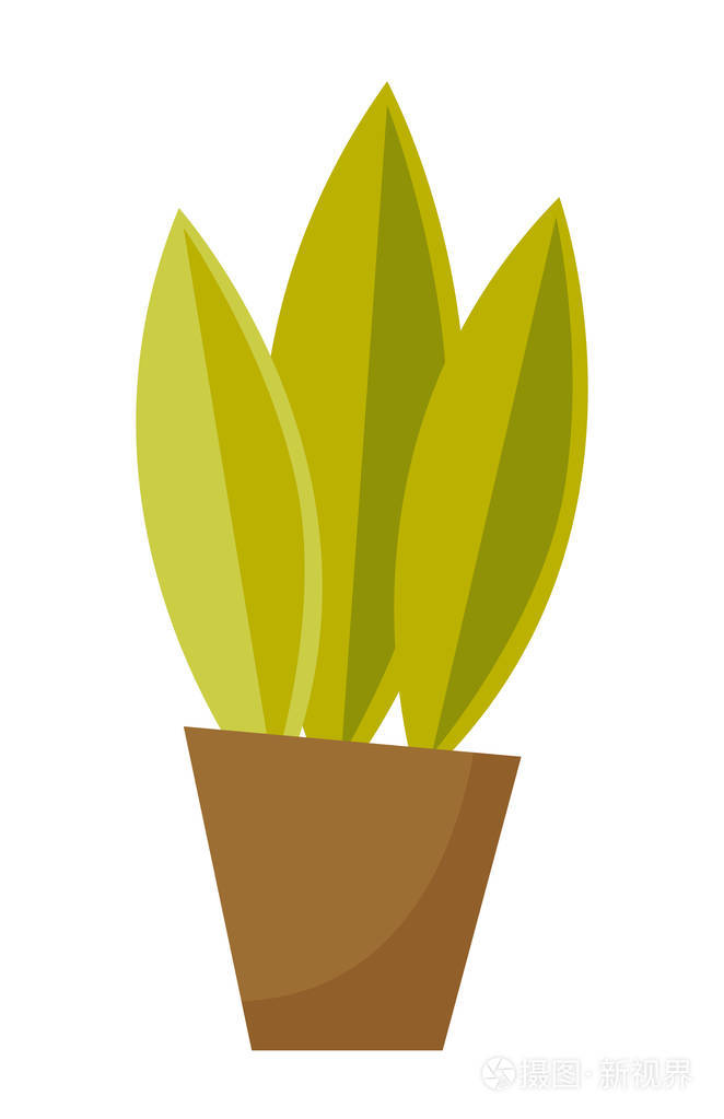 盆栽绿植物矢量卡通插图