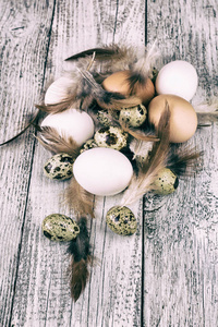 复活节的背景下, 复活节彩蛋和鸡羽毛框架, 色调