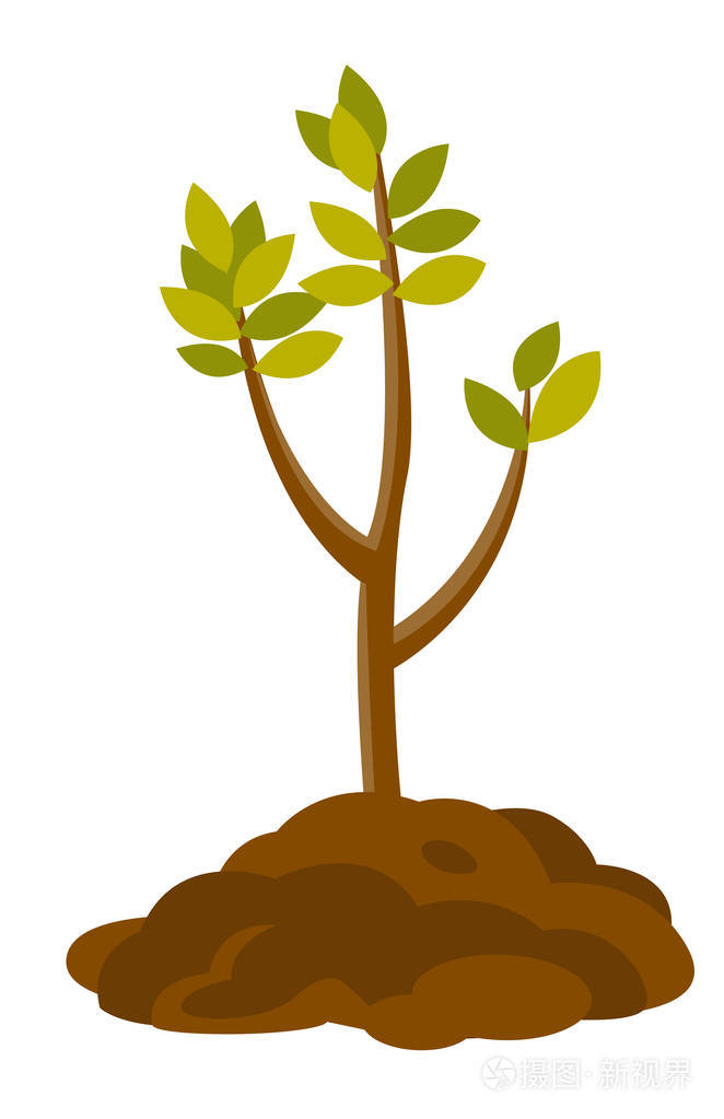 树生长在土壤载体例证