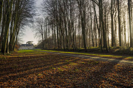 在法国诺曼底地区穿过森林的乡间小路。秋天阳光明媚的一天。调子