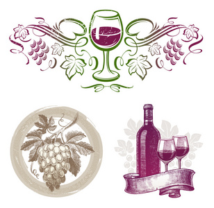 矢量集葡萄酒及葡萄酒酿造的标志与标签以不同的风格