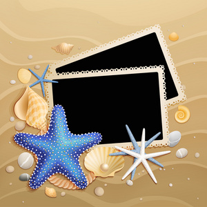 沙子背景上的贝壳和海星图片图片