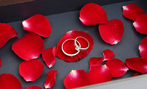 在豪华皮盒红玫瑰花瓣上的结婚戒指
