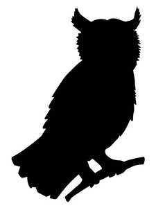 猫头鹰的剪影图片