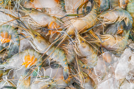 冰鲜虾或虾在海鲜市场出售