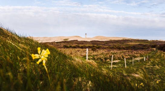 rubjerg knude 灯塔