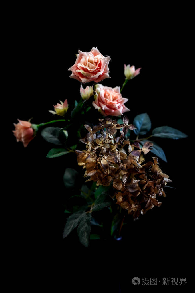 在黑色背景中开花