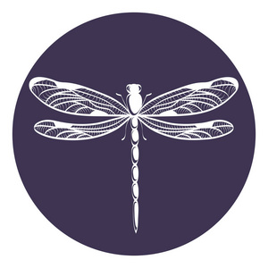 漂亮的 icon 蜻蜓矢量图照片