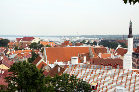 爱沙尼亚塔林老城景色
