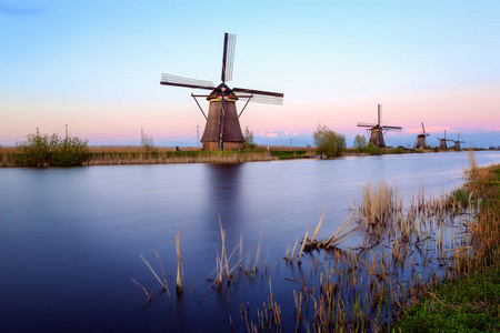 鹿特丹附近的村风车