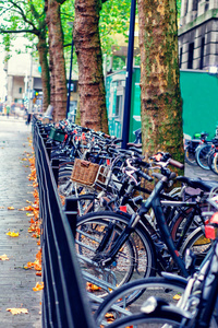 鹿特丹2017年10月16日 自行车停车场