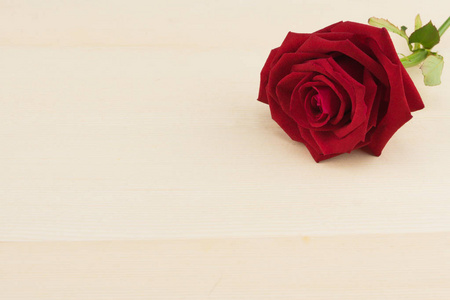红玫瑰, 有选择的焦点在轻的褐色木头背景与拷贝空间